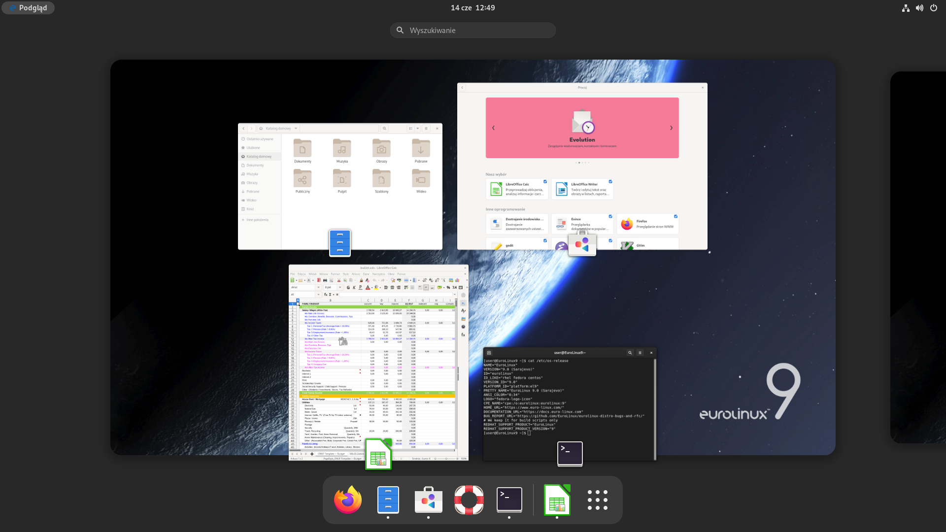 EuroLinux desktop screen